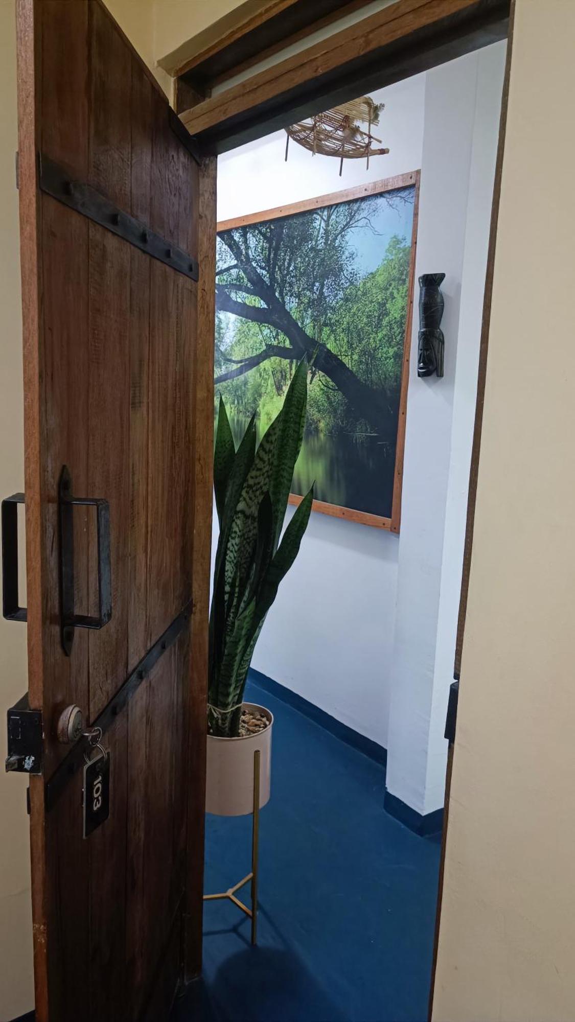 לטיסייה Hotel Gavas Amazonas מראה חיצוני תמונה